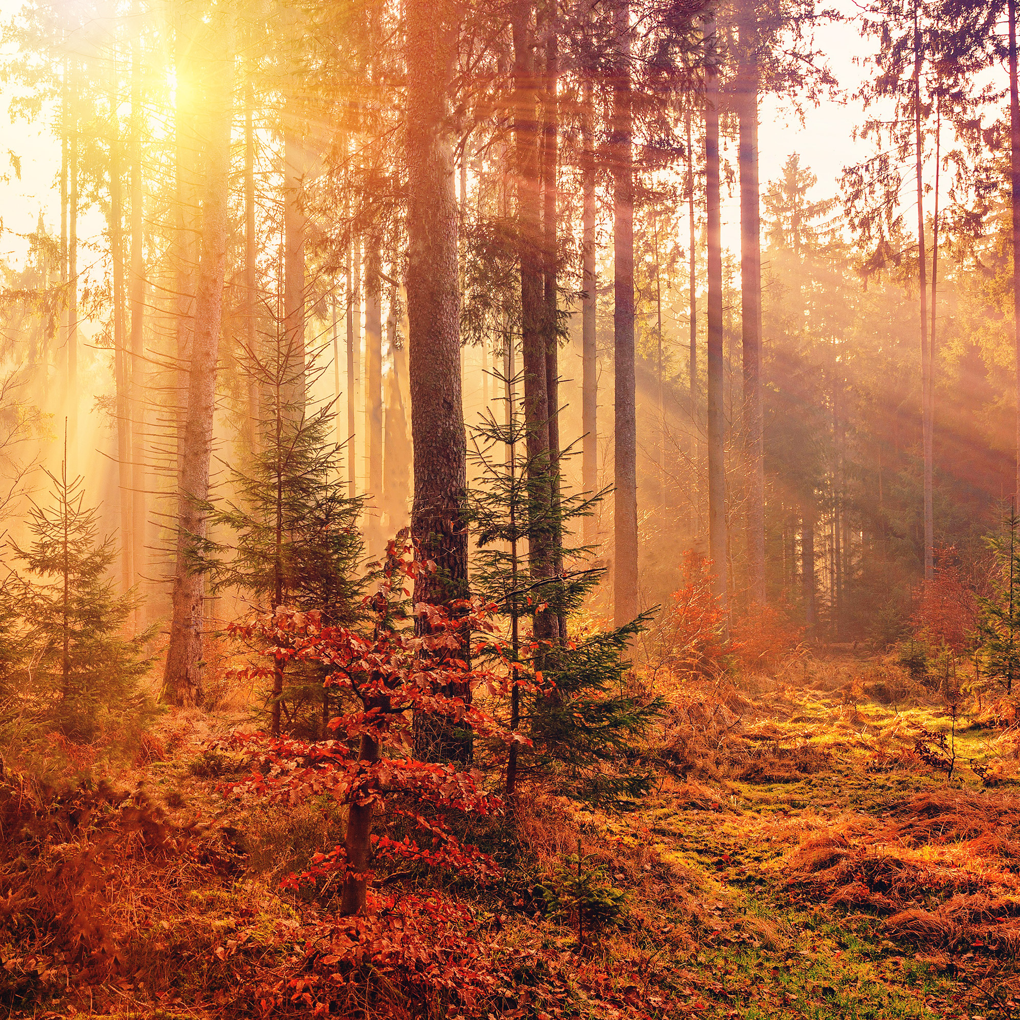 nauka fotografii dla początkujących