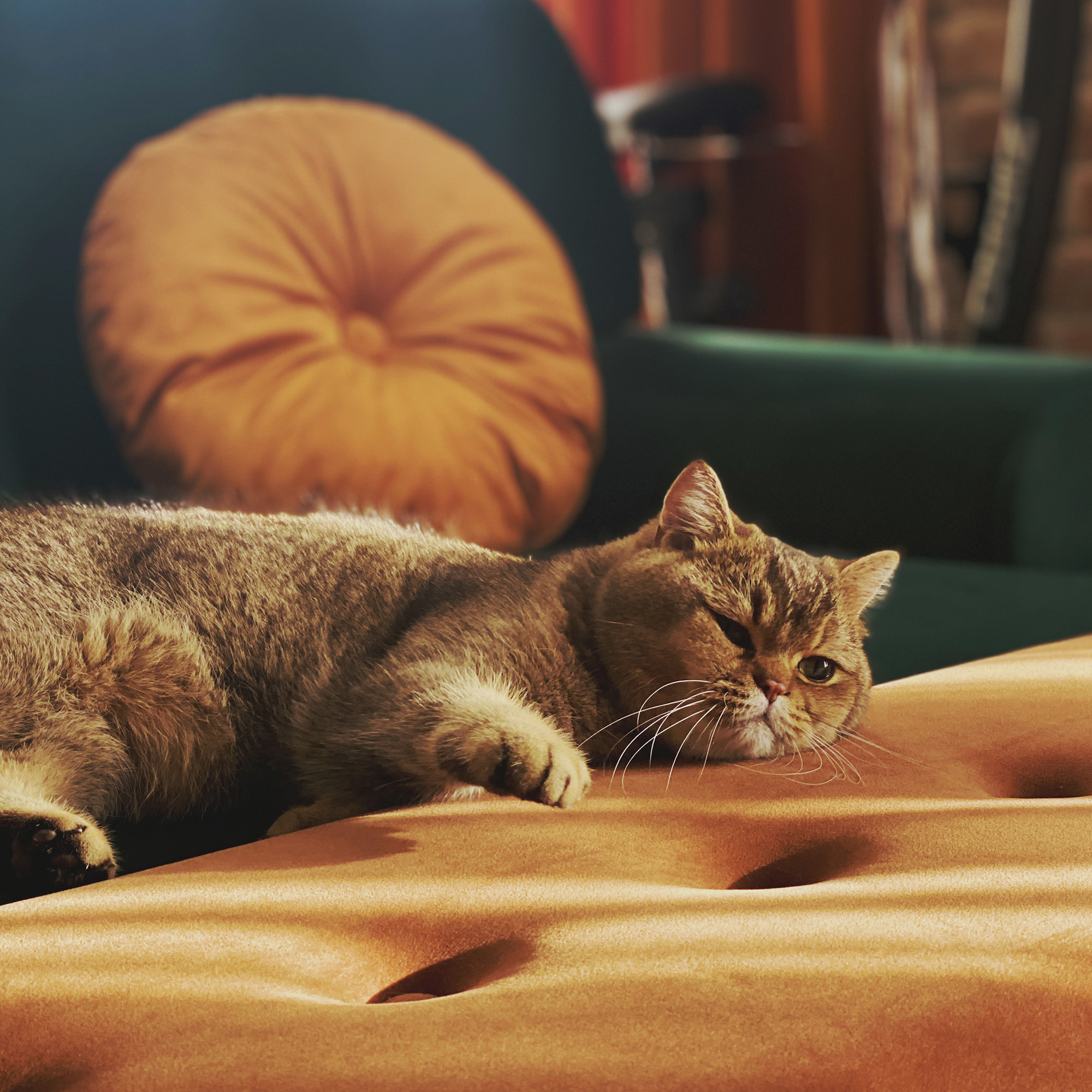 nauka fotografii dla początkujących - akcje