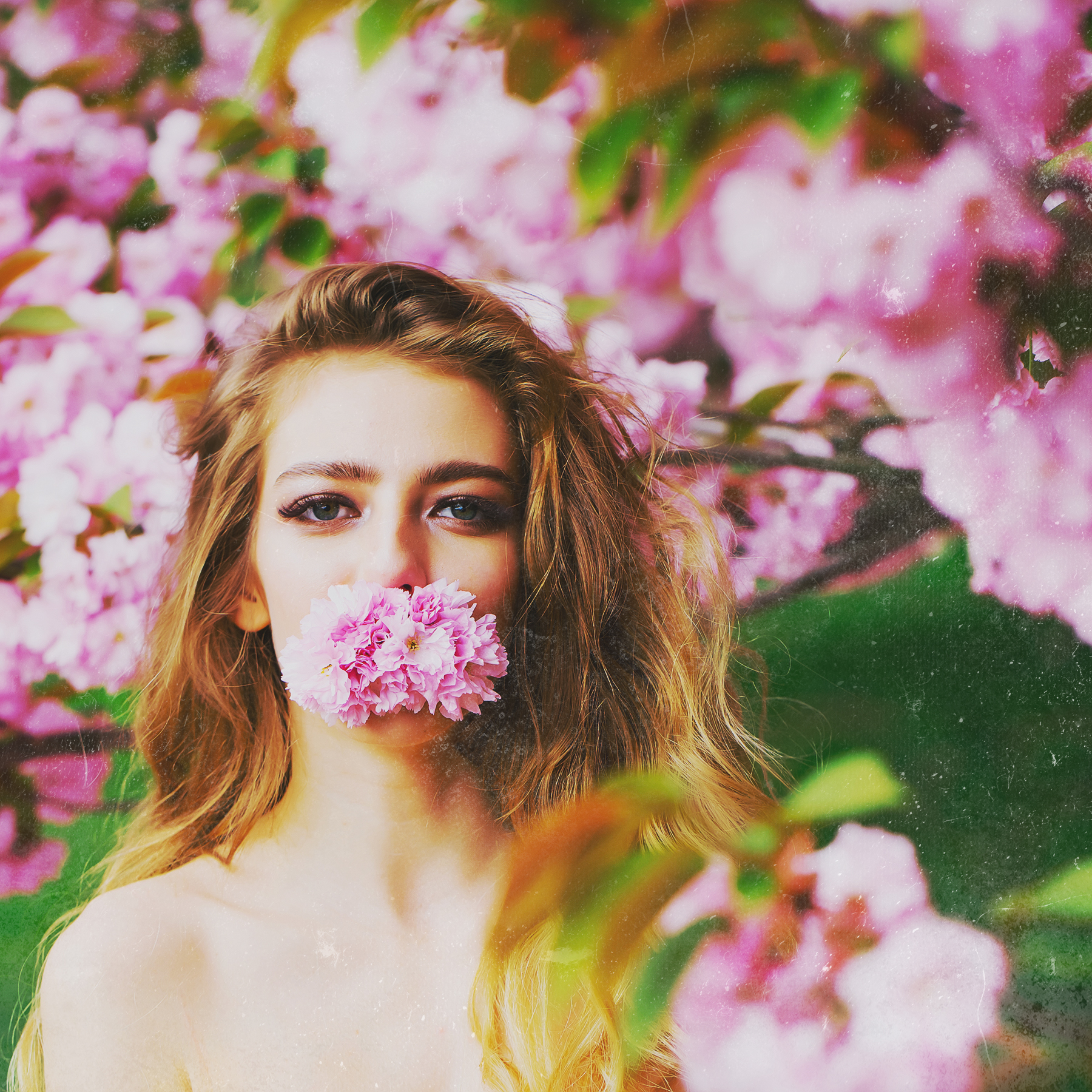 podstawy fotografii dla początkujących online